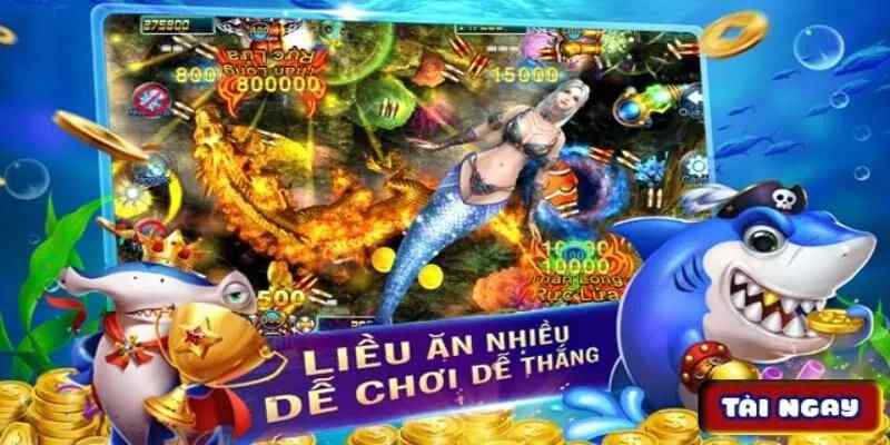 Bắn Cá Bingo - Khám Phá Sân Chơi Hấp Dẫn Dành Cho Mọi Ngư Thủ