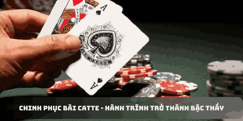 Chinh phục bài catte - Hành trình trở thành bậc thầy