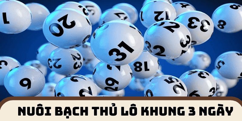 Lựa chọn hợp lý cho mọi người